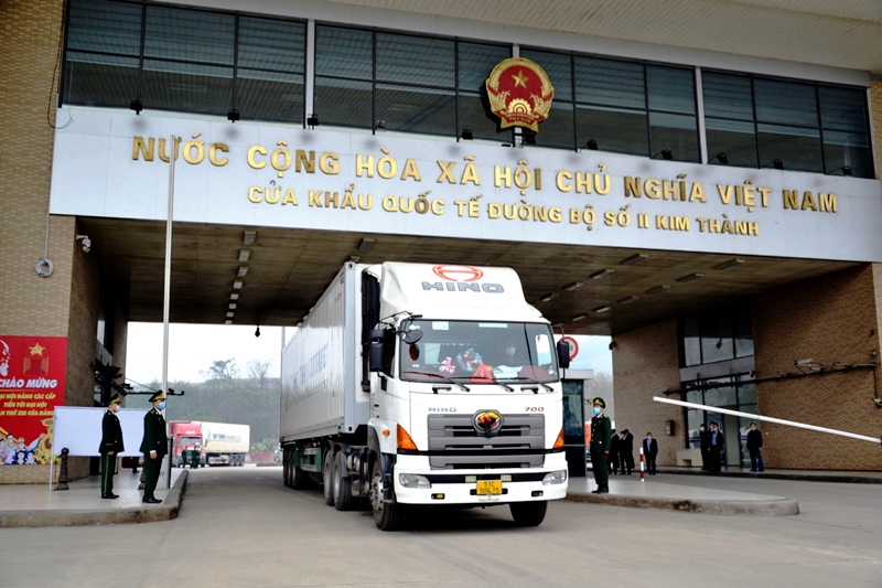 Vietnam resumes export of fresh bananas to China